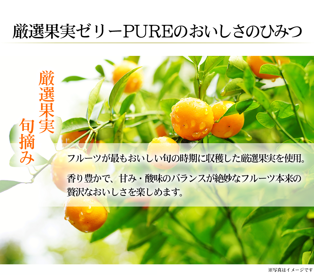 お中元 お歳暮 お年賀 に ゼリー ギフト たらみ Pureシリーズ 詰め合わせ 12個セット フルーツゼリーの通販サイト たらみ オンラインショップ